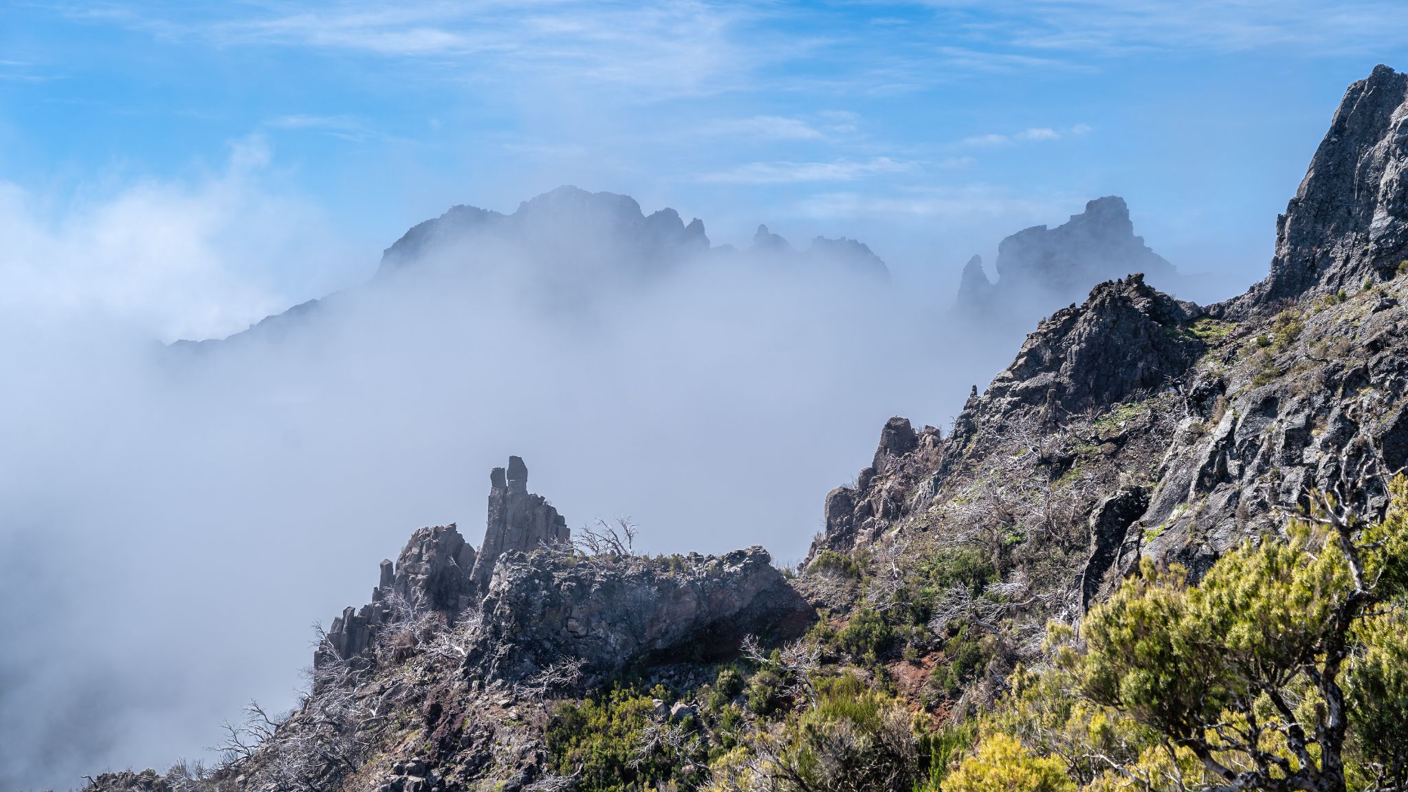 20250516 110212 Santana   Tagesausflug zum Pico Ruivo